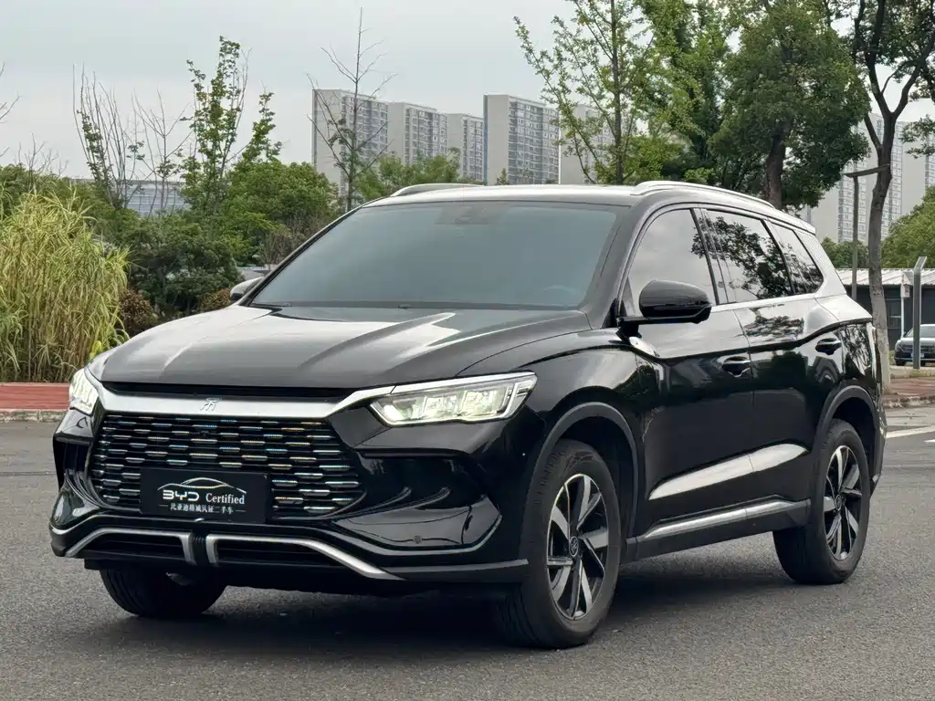 BYD Pro New Energy 2024