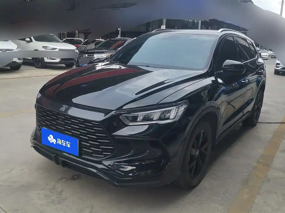 BYD Pro New Energy 2024