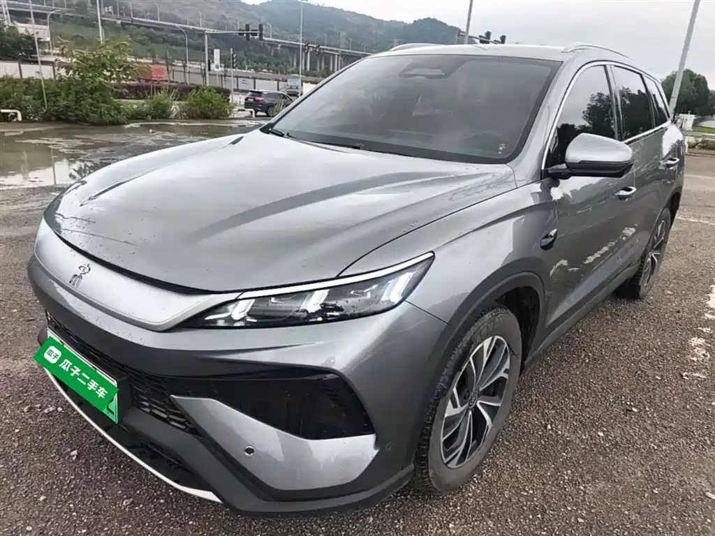 BYD Pro New Energy 2025