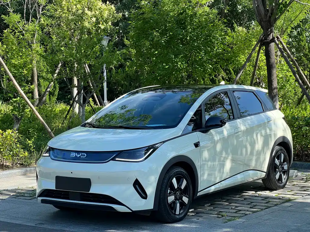 BYD Dolphin 2025