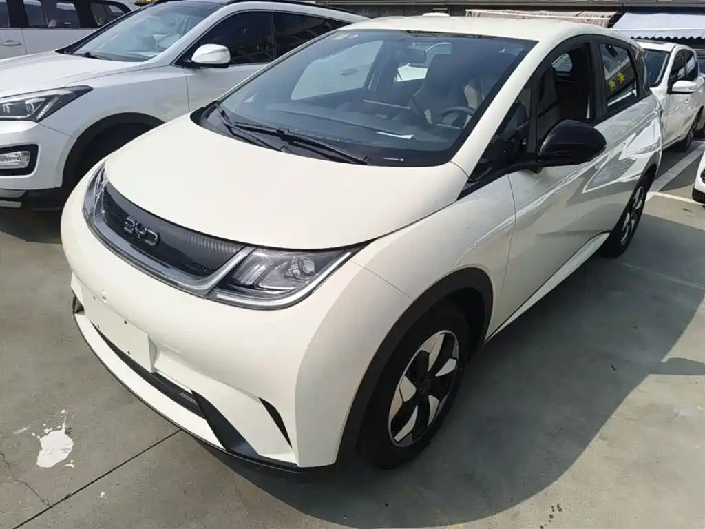 BYD Dolphin 2026