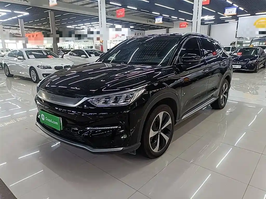 BYD PLUS New Energy 2022