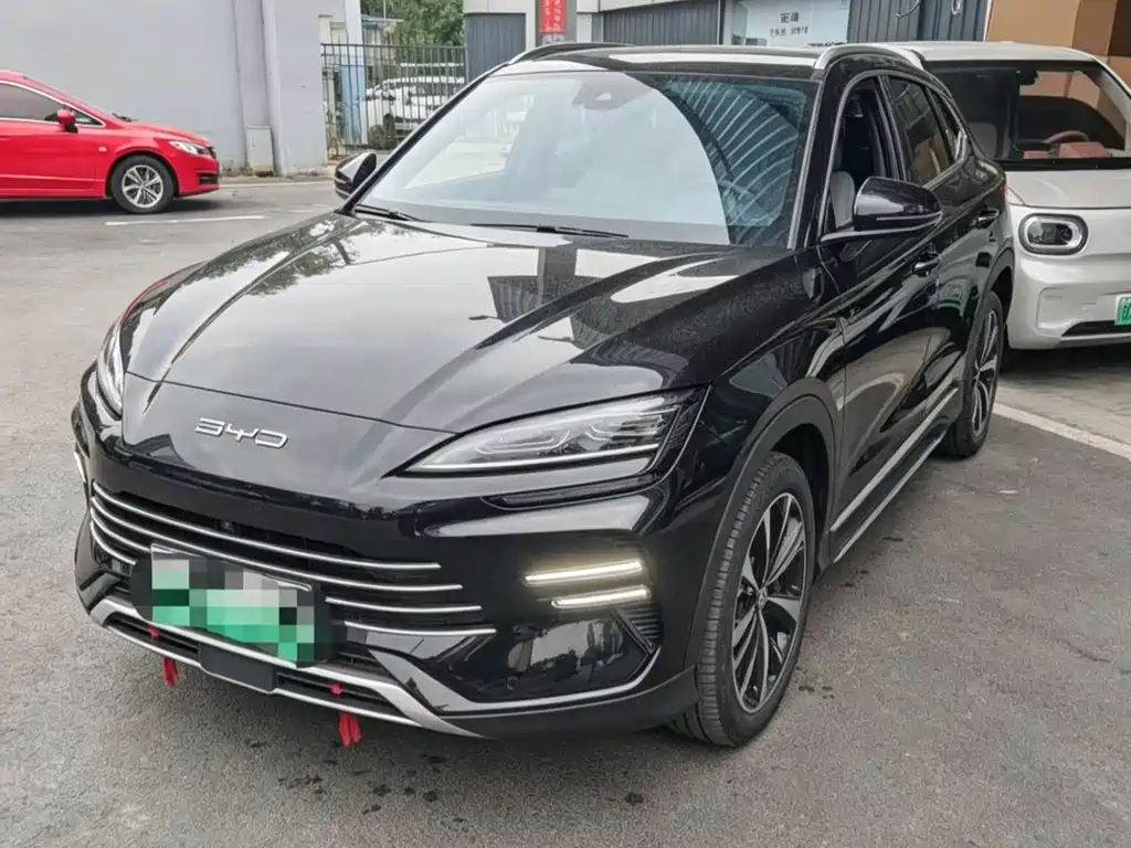 BYD PLUS New Energy 2024