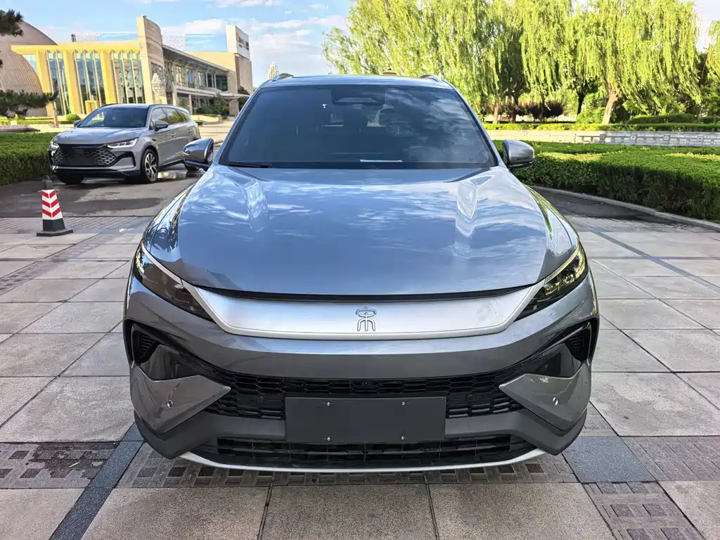 BYD Pro New Energy 2025