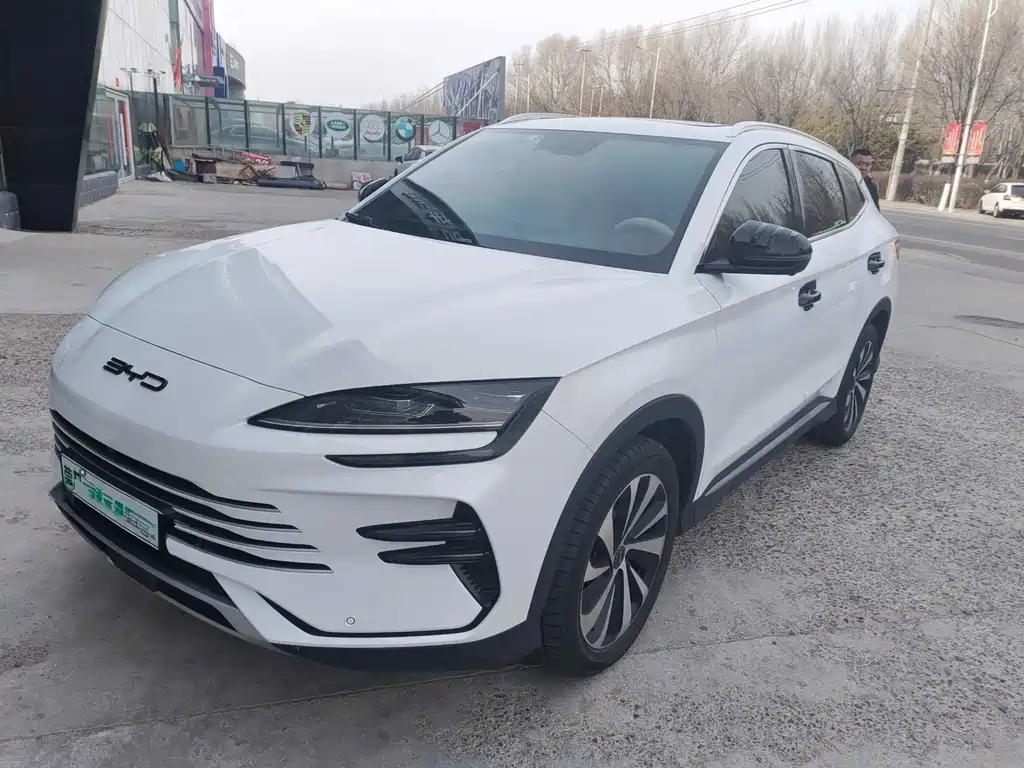 BYD PLUS New Energy 2024