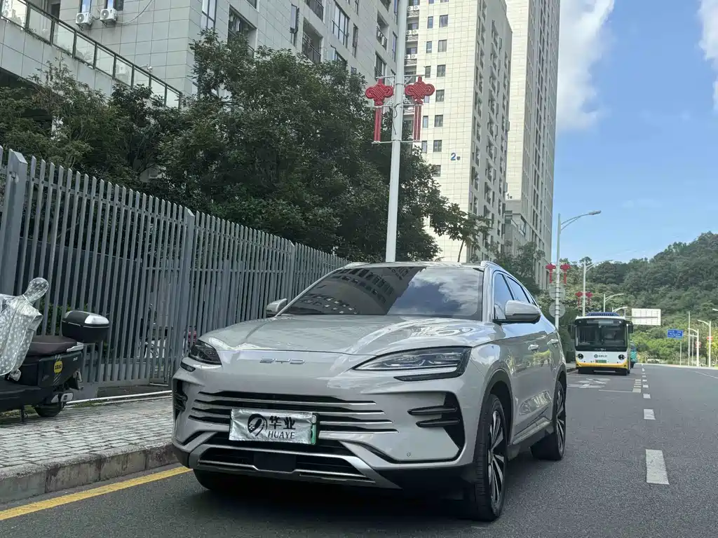 BYD PLUS New Energy 2024