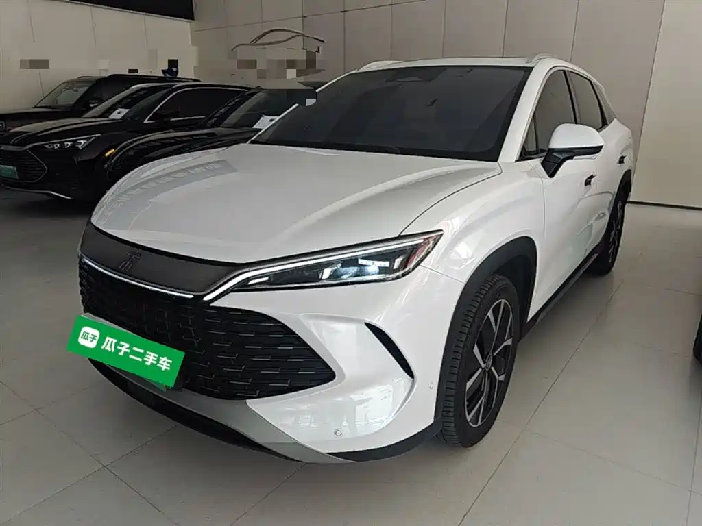 BYD L DM-i 2024