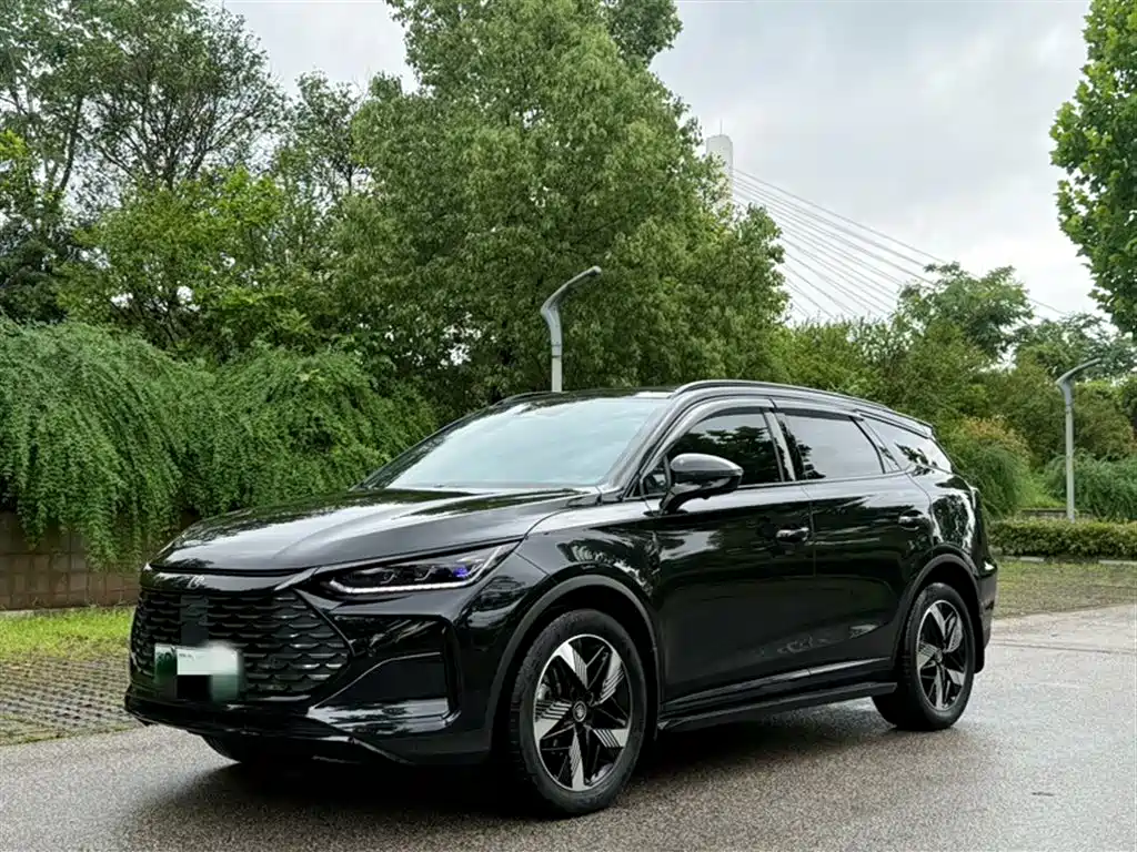 BYD Tang New Energy 2024