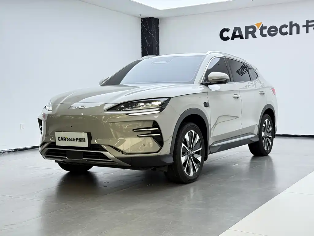 BYD PLUS New Energy 2025
