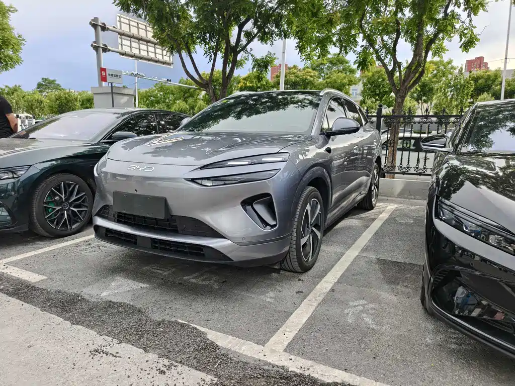 BYD 海狮06 2025