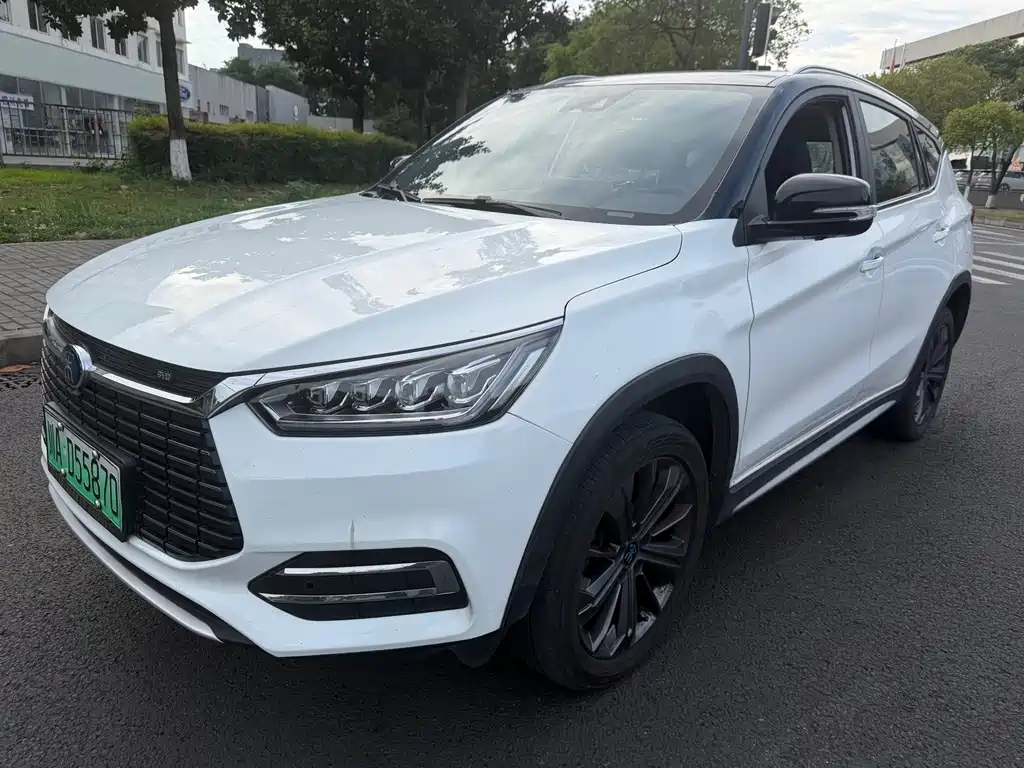 BYD New Energy 2019
