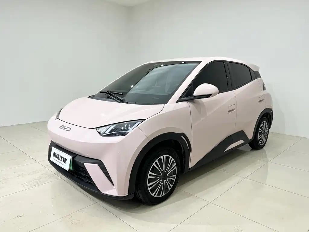 BYD Seagull 2024