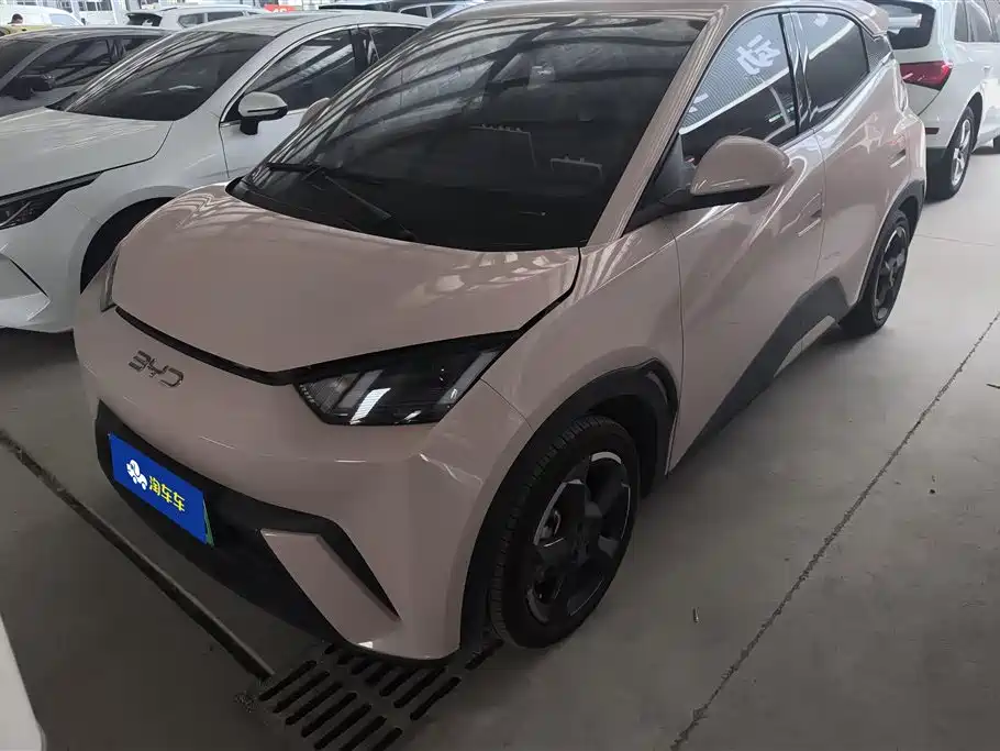 BYD Seagull 2024
