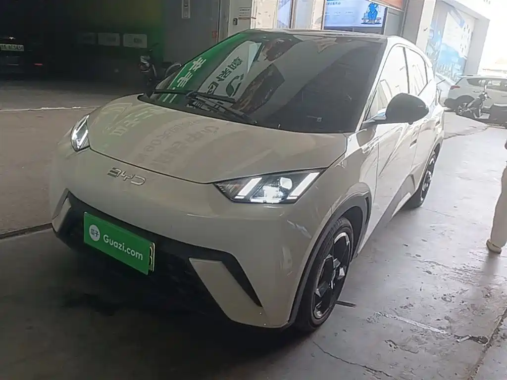 BYD Seagull 2024