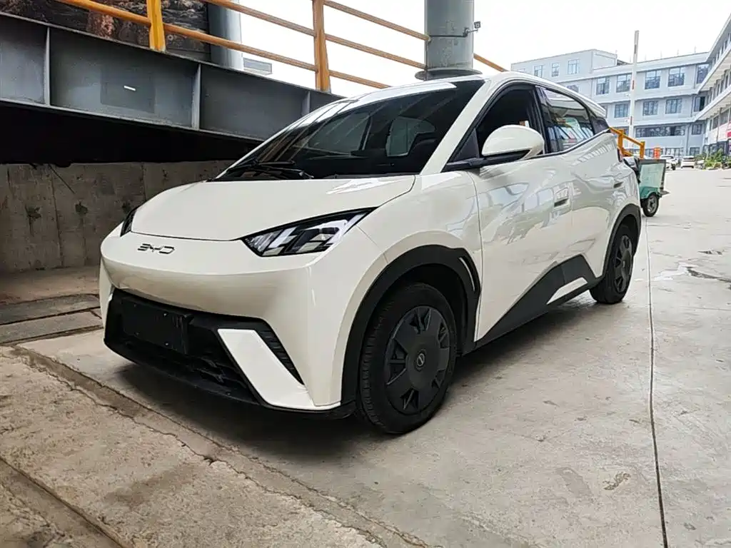 BYD Seagull 2024