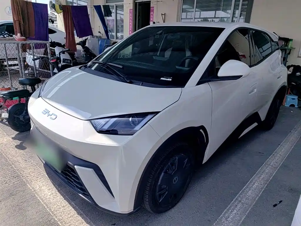 BYD Seagull 2024