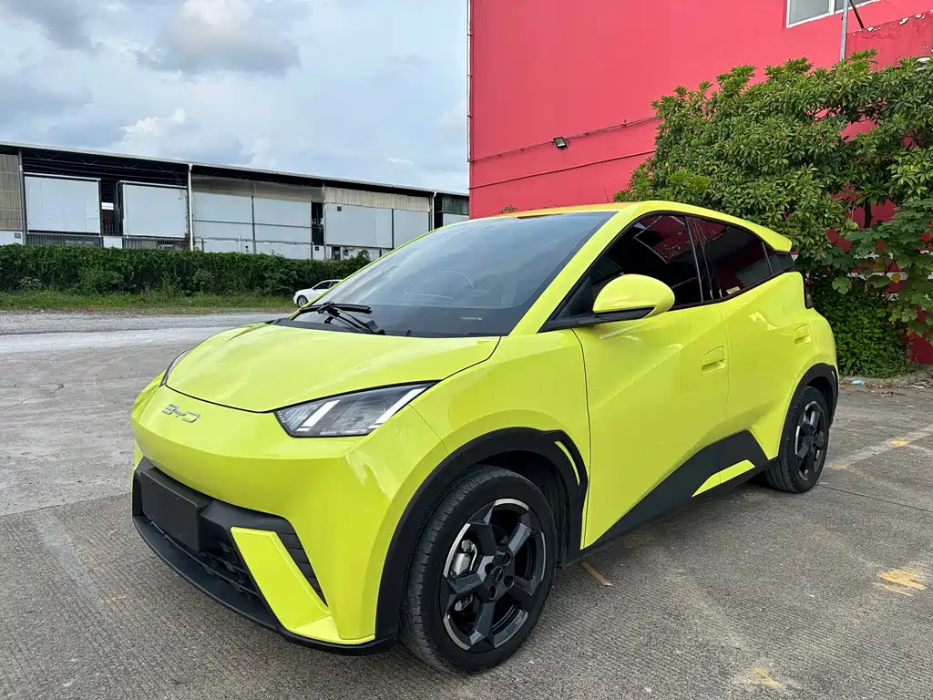 BYD Seagull 2024