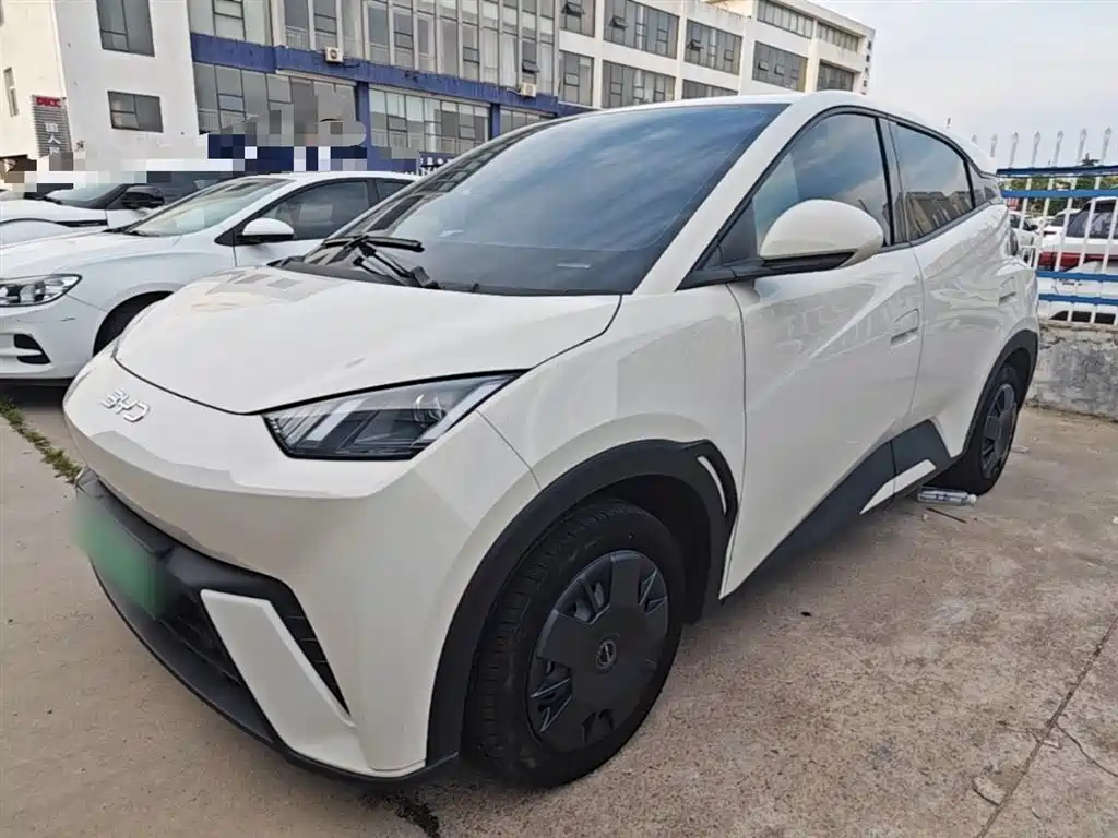 BYD Seagull 2024