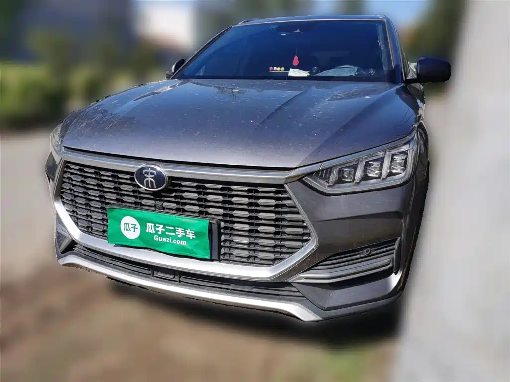 BYD PLUS 2021