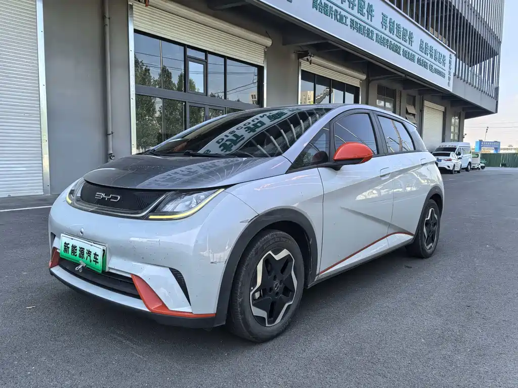 BYD Dolphin 2022