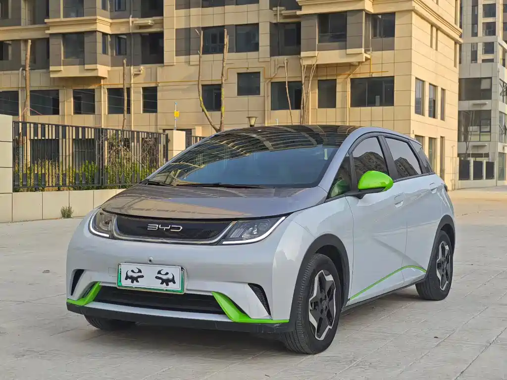 BYD Dolphin 2021