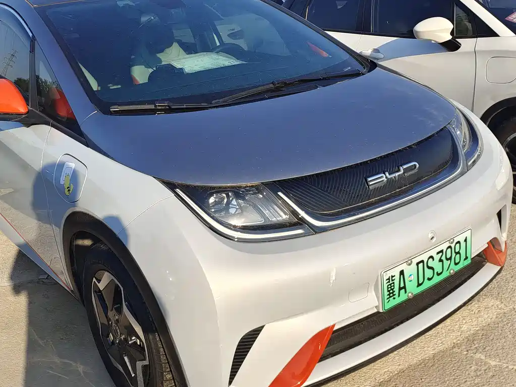 BYD Dolphin 2021