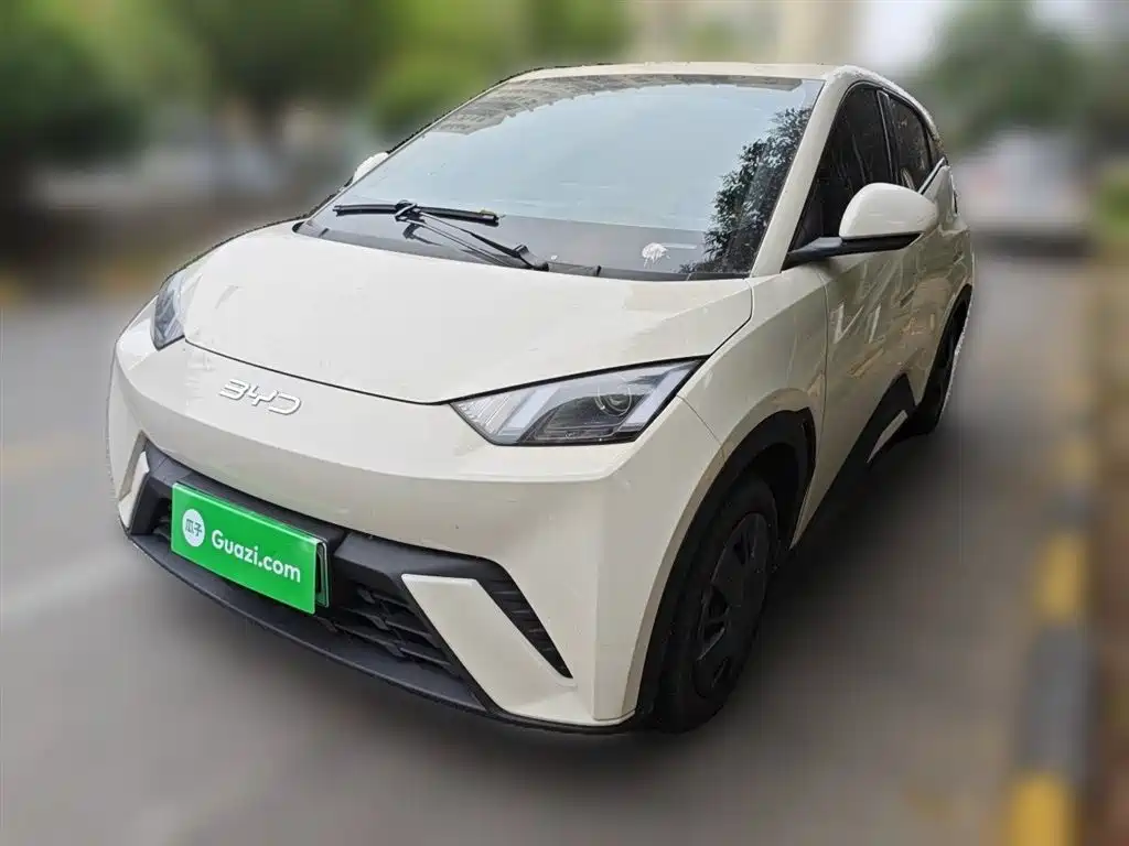 BYD Seagull 2024
