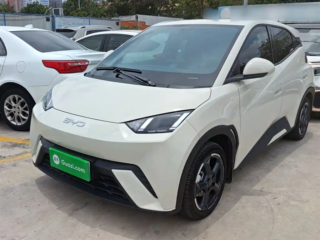 BYD Seagull 2024