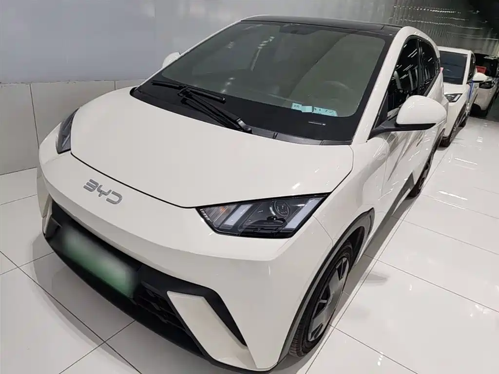 BYD Seagull 2024