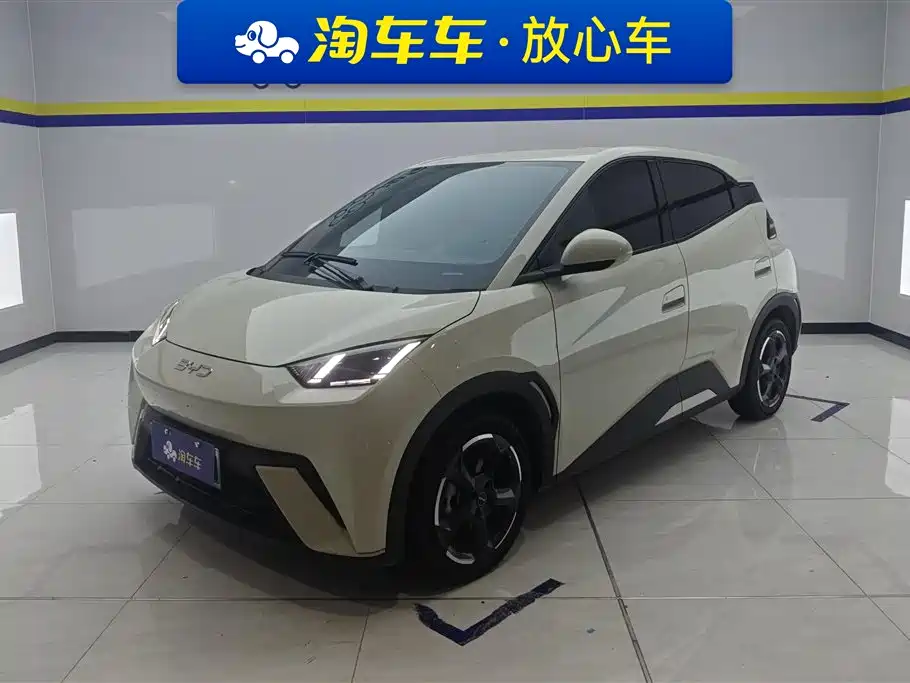 BYD Seagull 2024