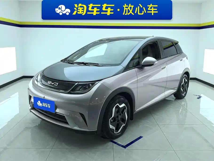 BYD Dolphin 2022