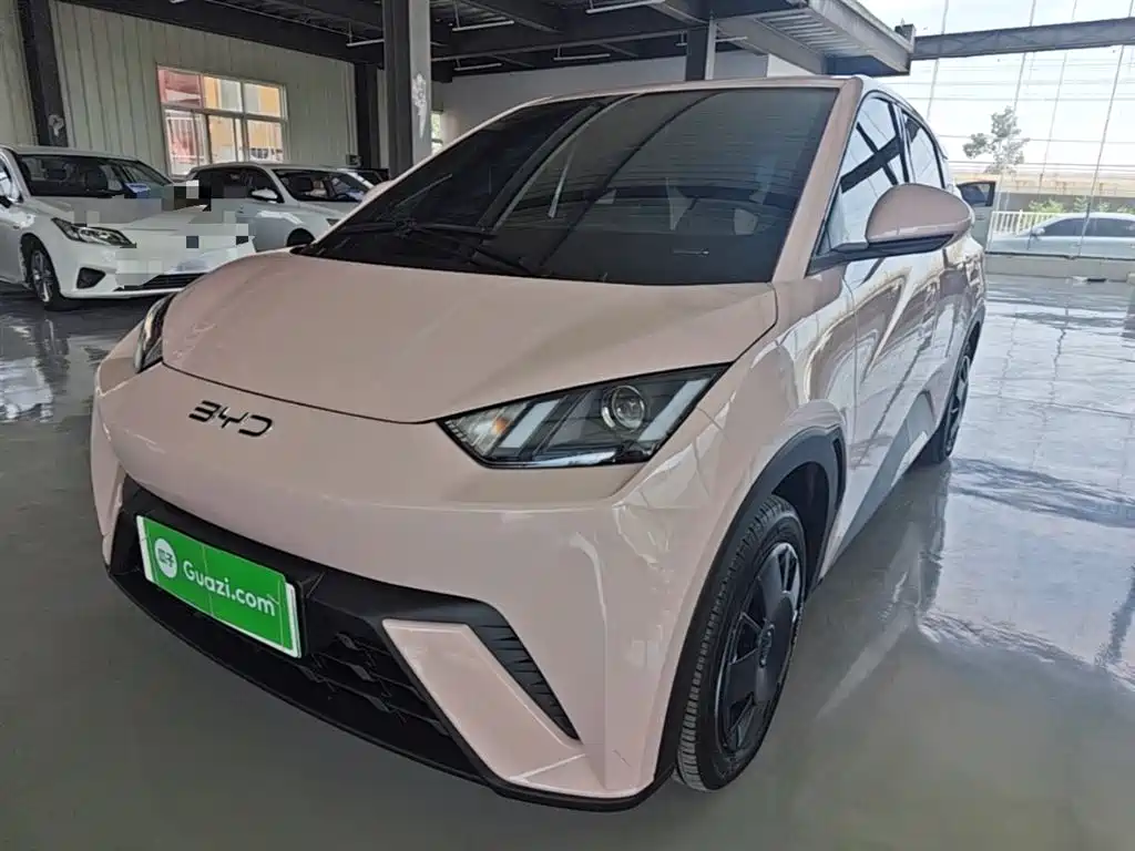 BYD Seagull 2025