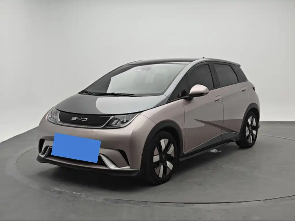 BYD Dolphin 2022