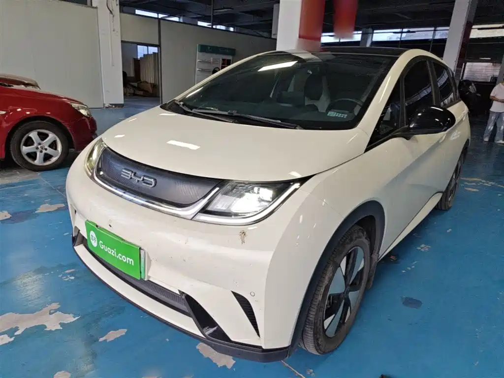 BYD Dolphin 2023