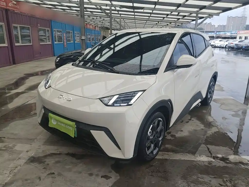 BYD Seagull 2025
