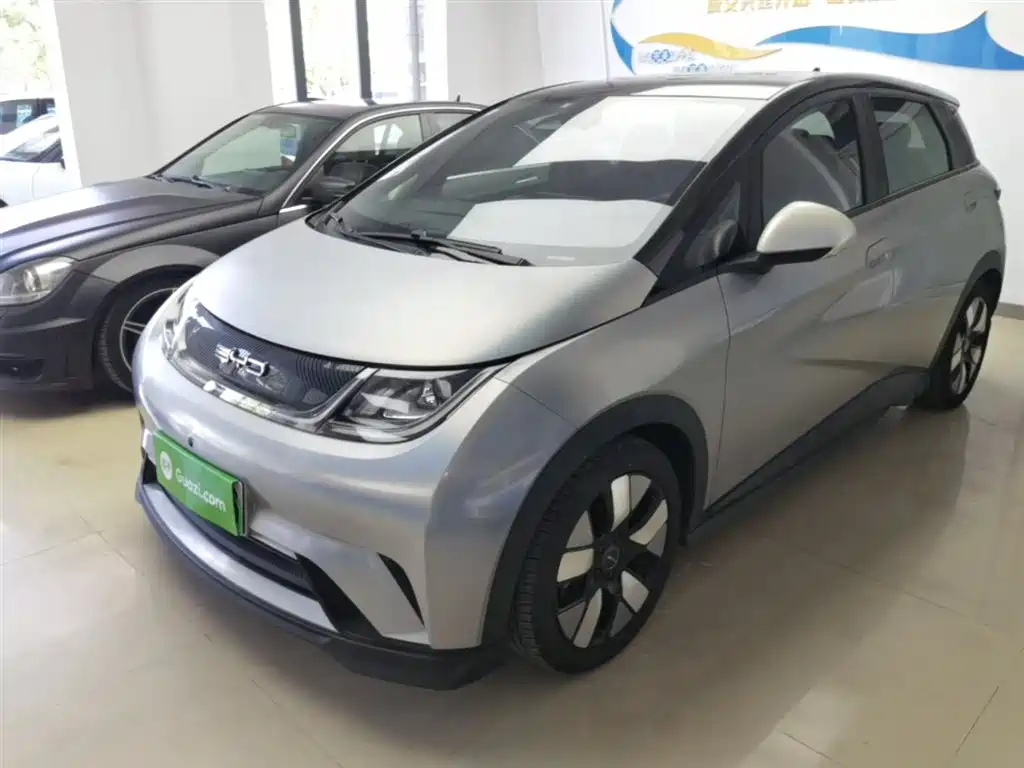 BYD Dolphin 2022