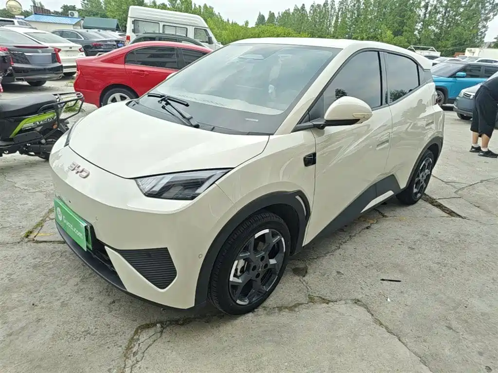 BYD Seagull 2025