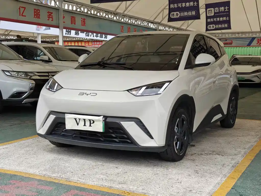 BYD Seagull 2024