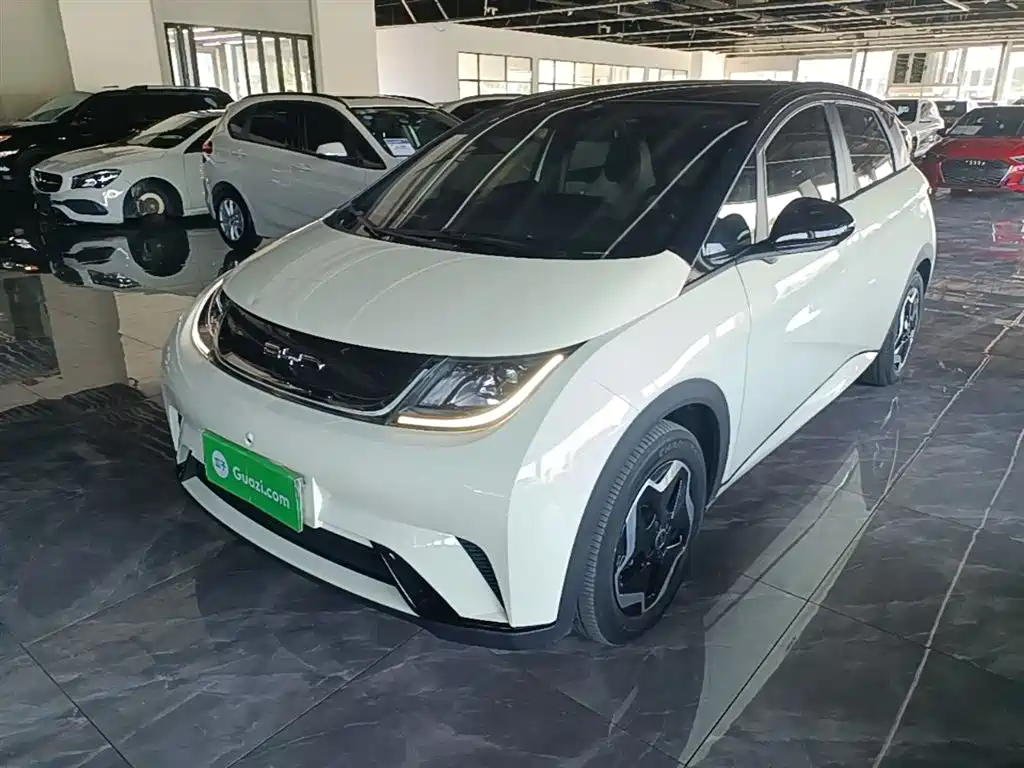 BYD Dolphin 2023