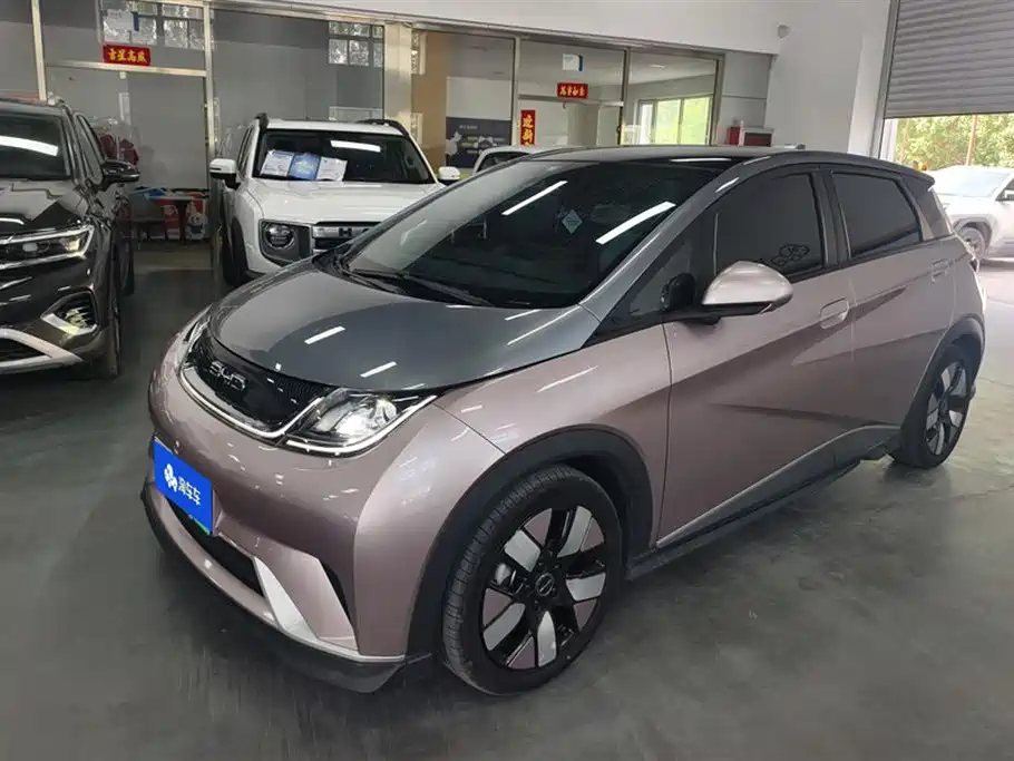 BYD Dolphin 2022