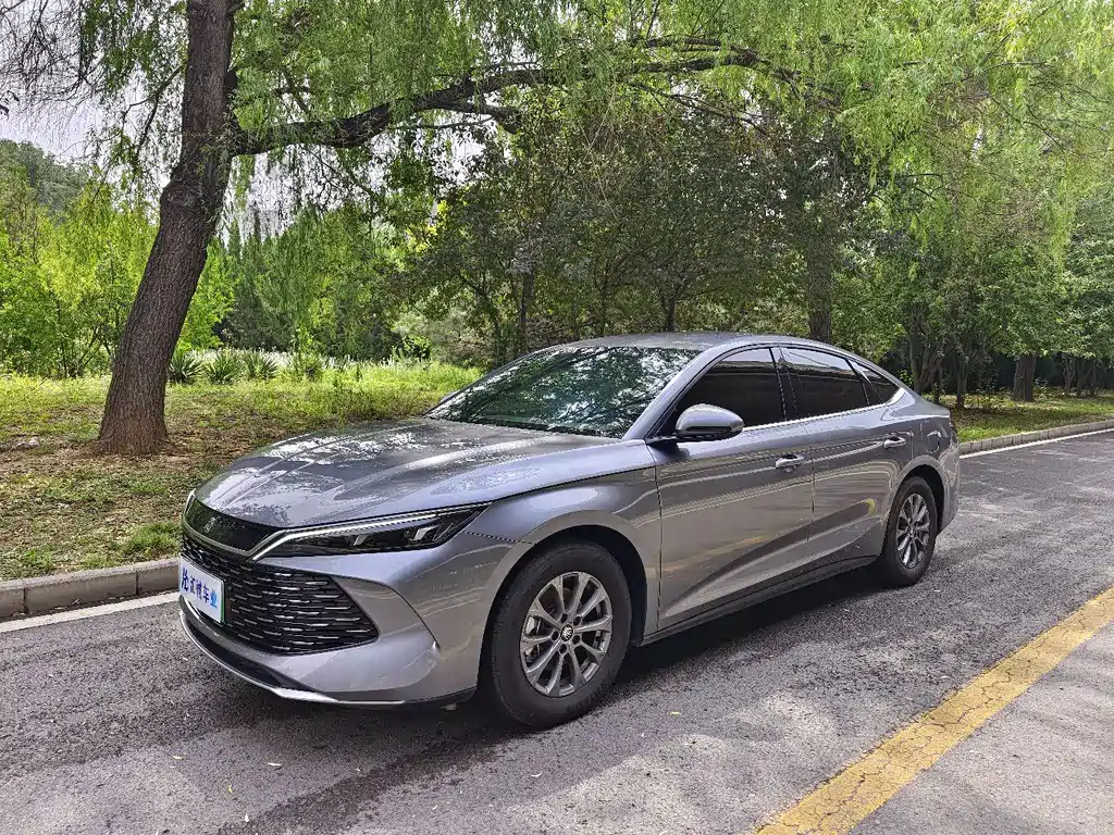 BYD Qin L 2024