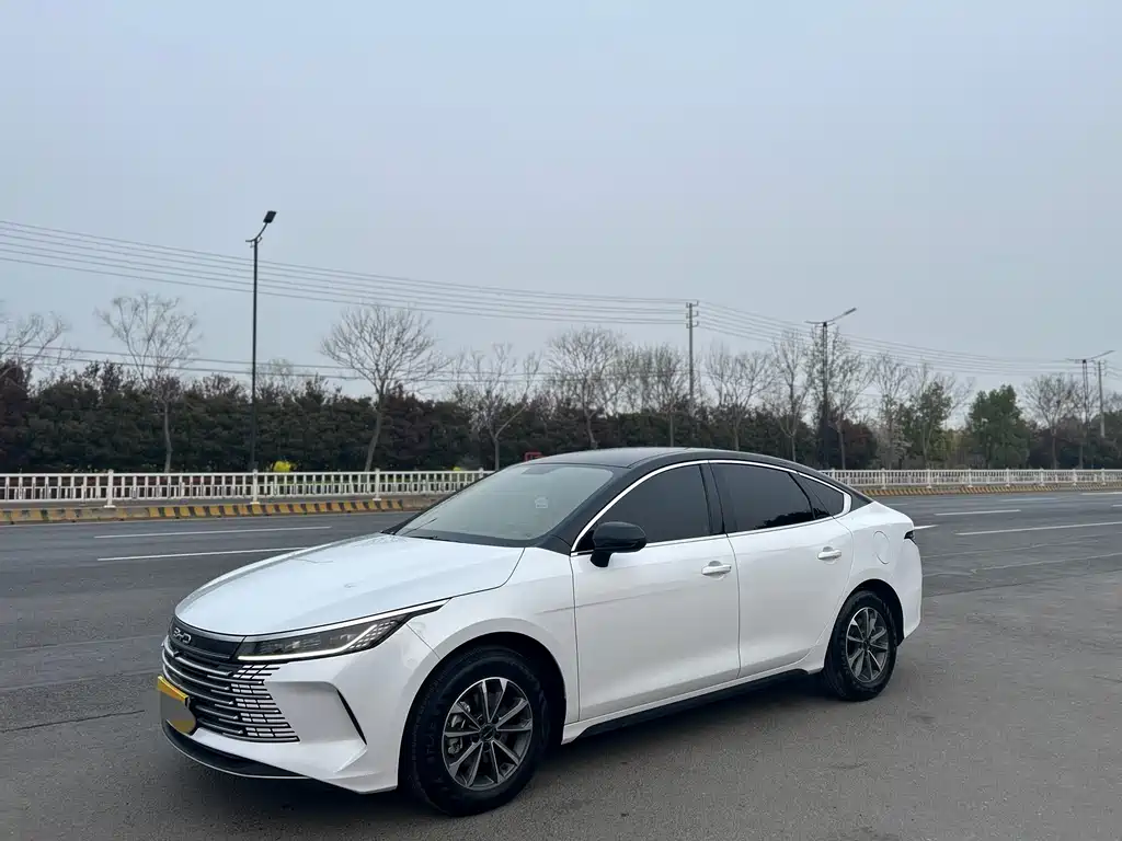 BYD Destroyer 05 2025