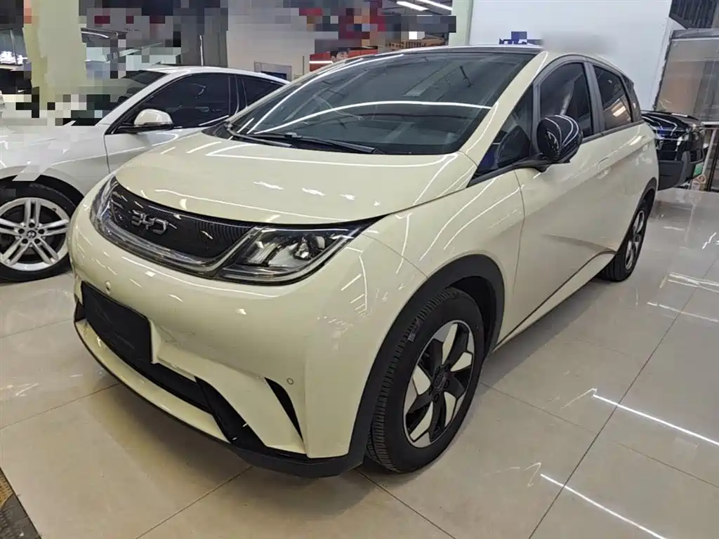 BYD Dolphin 2024
