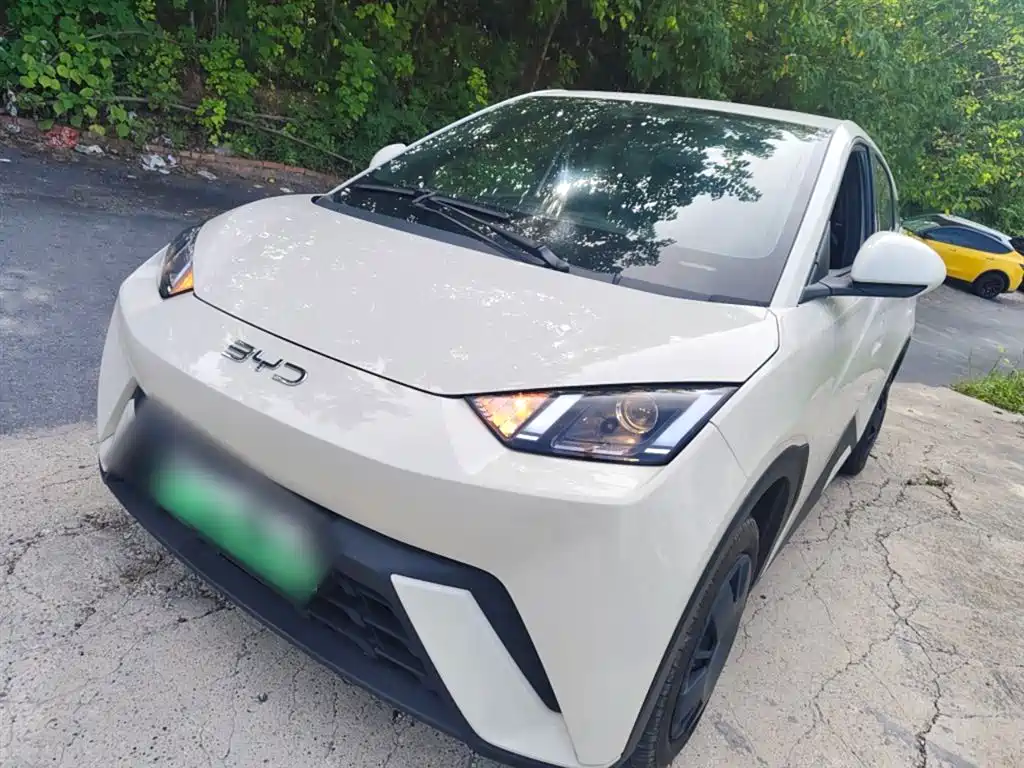 BYD Seagull 2025