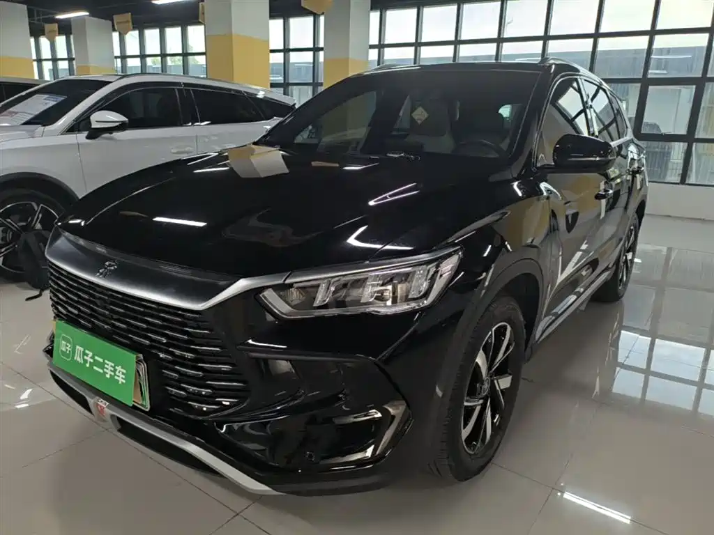 BYD Pro New Energy 2024