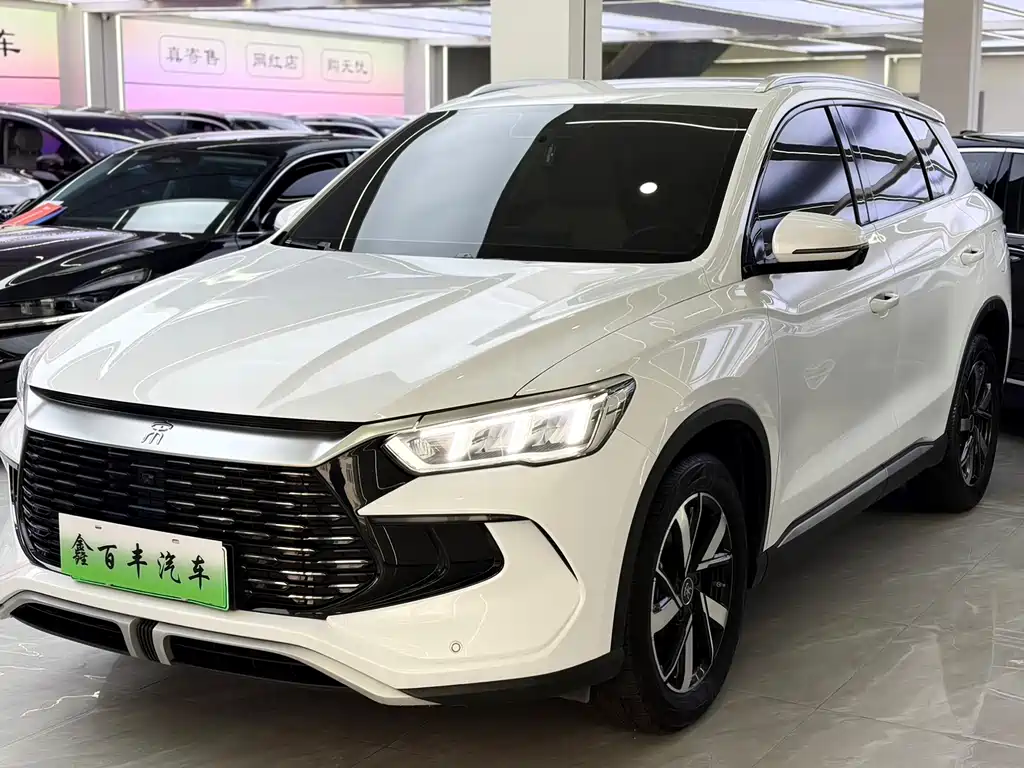 BYD Pro New Energy 2025