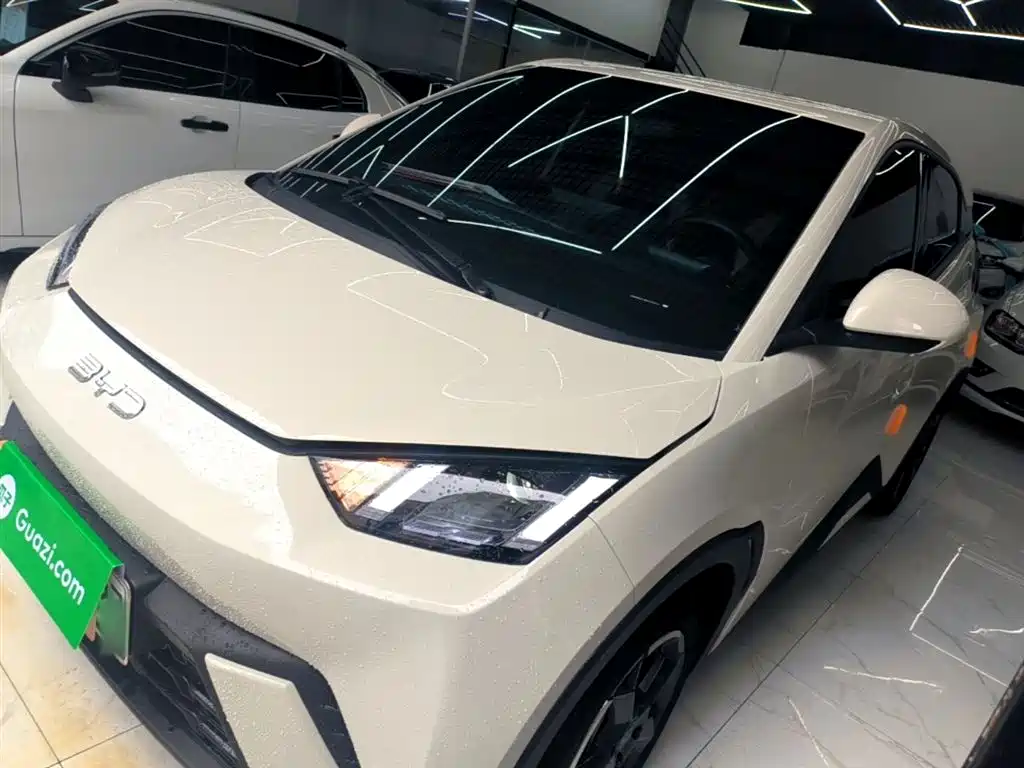 BYD Seagull 2024