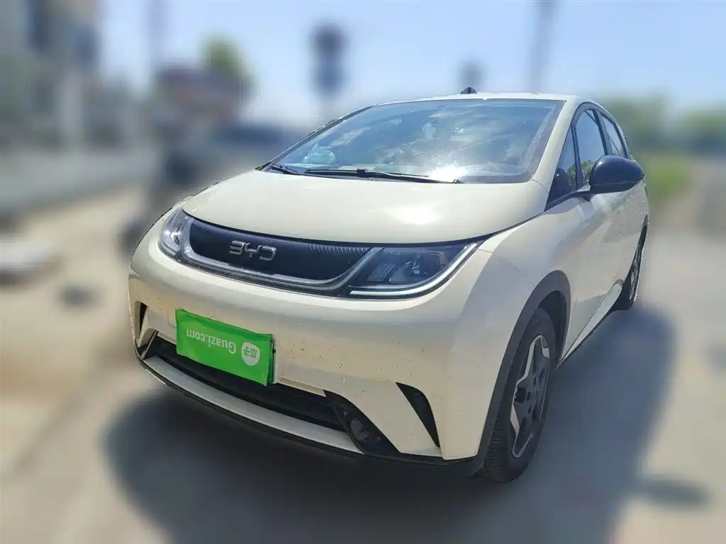 BYD Dolphin 2024
