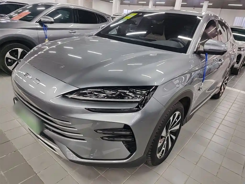 BYD PLUS New Energy 2023