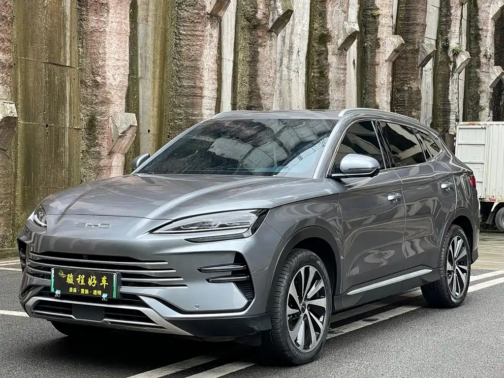 BYD PLUS New Energy 2024